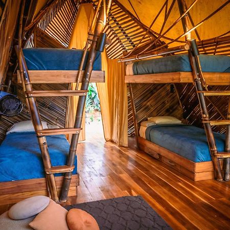 Jungle Gayborhood Hotel And Retreat Center San Luis  Esterno foto