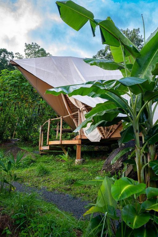 Jungle Gayborhood Hotel And Retreat Center San Luis  Esterno foto