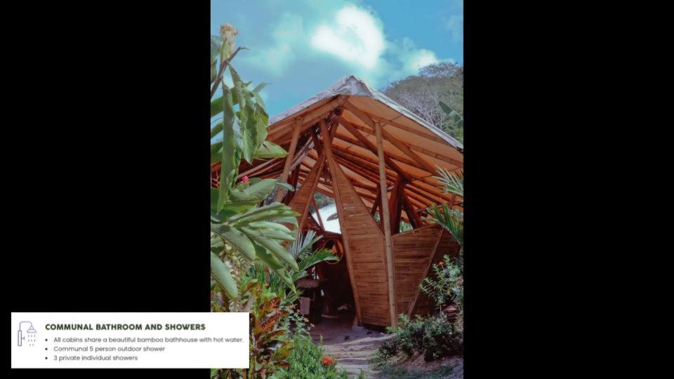 Jungle Gayborhood Hotel And Retreat Center San Luis  Esterno foto
