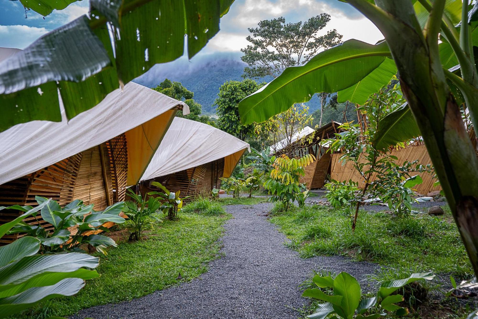 Jungle Gayborhood Hotel And Retreat Center San Luis  Esterno foto