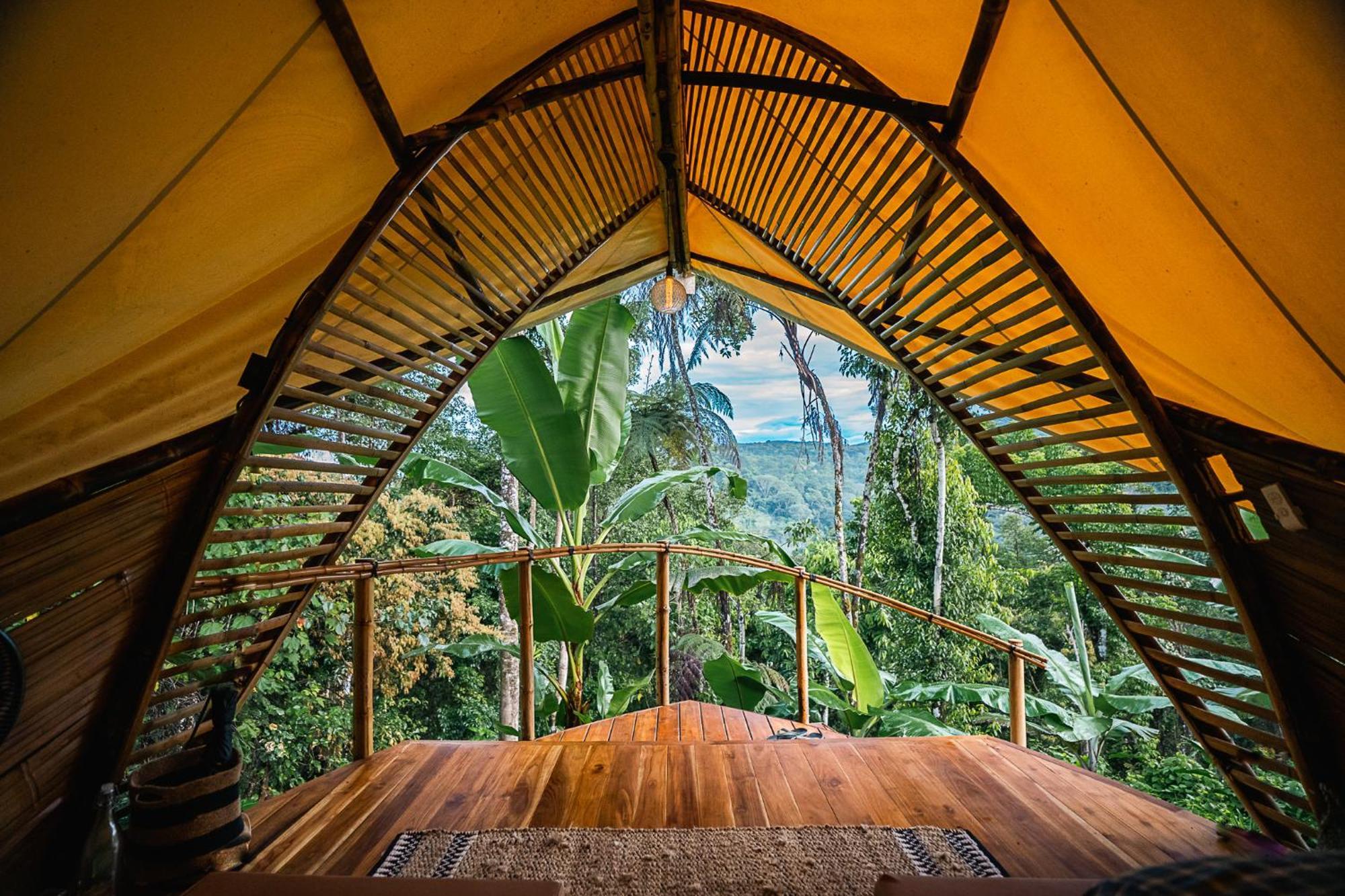 Jungle Gayborhood Hotel And Retreat Center San Luis  Esterno foto