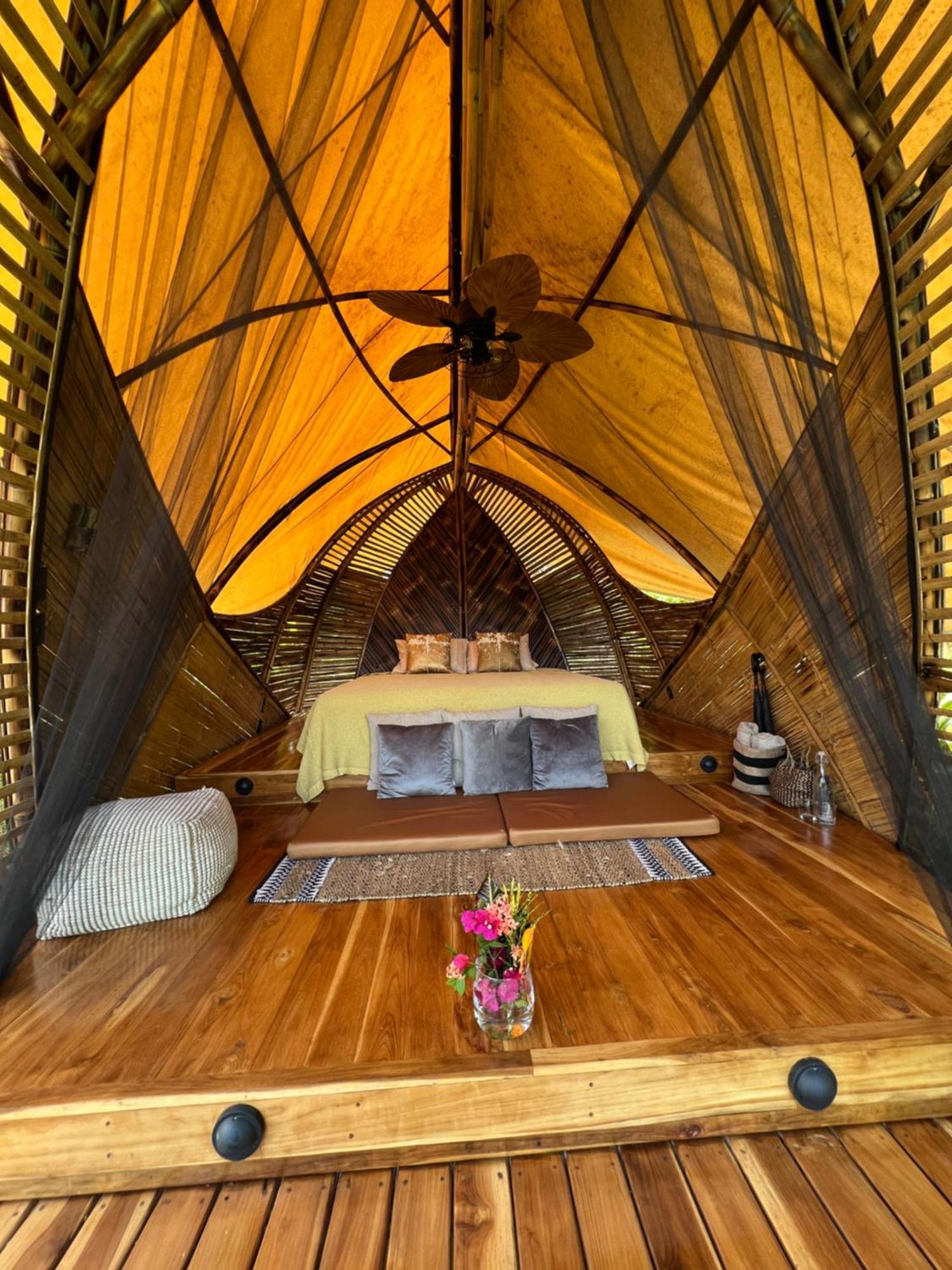 Jungle Gayborhood Hotel And Retreat Center San Luis  Esterno foto
